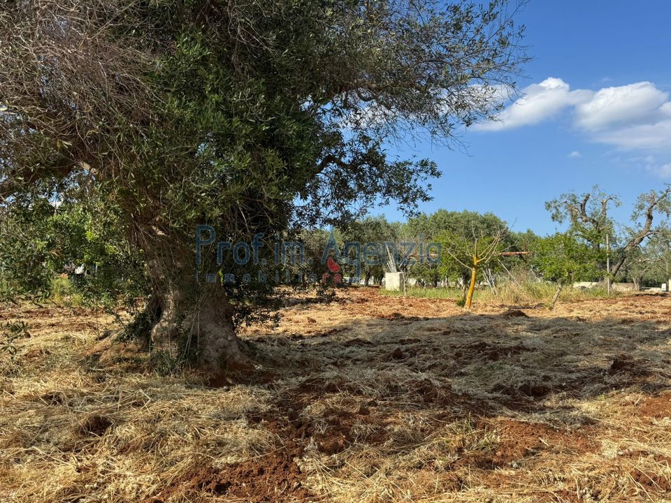 Helårsgrund i Carovigno, Brindisi - foto 1
